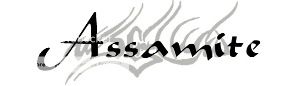ClanAssamiteTitle_zps49992fd7.jpg