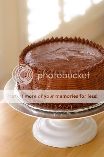 Chocolate Photo Picture