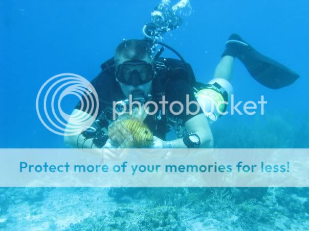 lionfish.jpg
