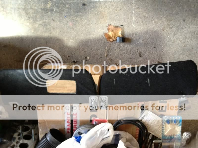 [Image: CFBF7EA2-3867-41DA-90BD-D3F7FAF63A05-358...4477c0.jpg]