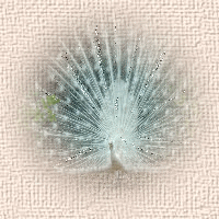 Animacin1LLLL5.gif picture by solemimosa50