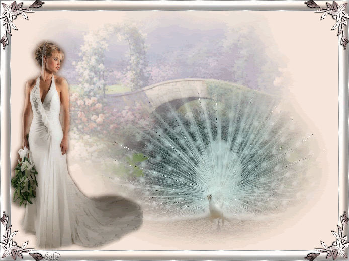 Animacin2P.gif picture by solemimosa50