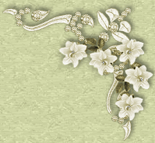 Animacin2.gif picture by solemimosa50