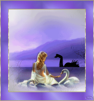 cisne.gif picture by solemimosa50