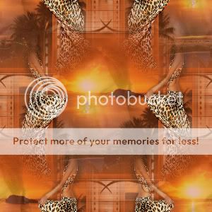 Imagen2jpg19.jpg picture by solemimosa50