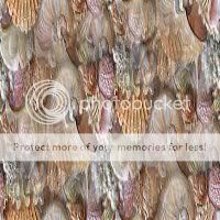 f4.jpg picture by solemimosa50