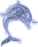 gifs-delfines.gif picture by solemimosa50