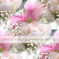 rosas.jpg picture by solemimosa50