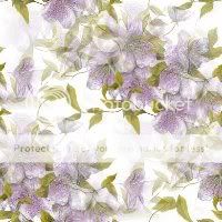 sfondo-1.jpg picture by solemimosa50