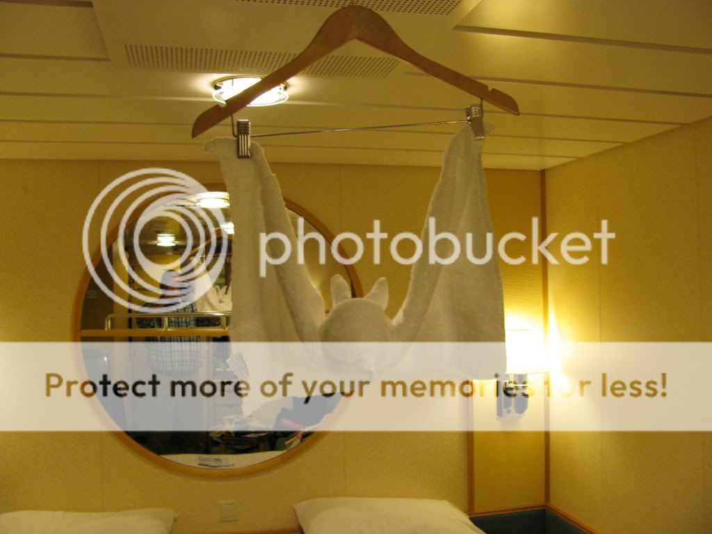 cruise176.jpg