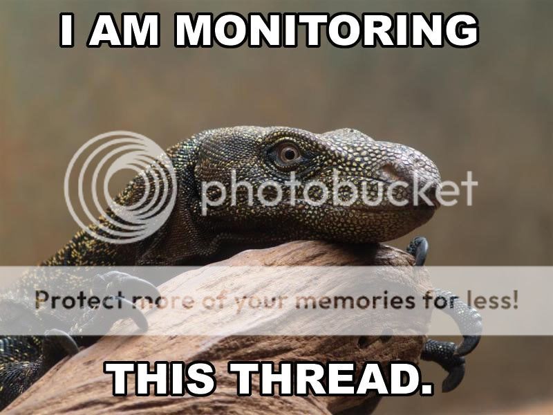 http://i674.photobucket.com/albums/vv105/memike46/MonitoringLizard.jpg