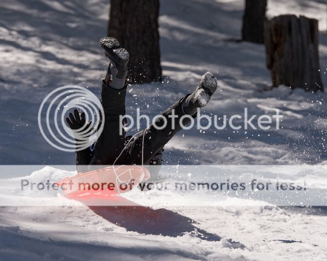 IMAGE: http://i674.photobucket.com/albums/vv106/dakotap67/DSC_1249-2_zpsjs9lps0y.jpg