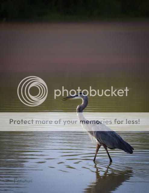 IMAGE: http://i674.photobucket.com/albums/vv106/dakotap67/DSC_7159_zpsae3b6c85.jpg