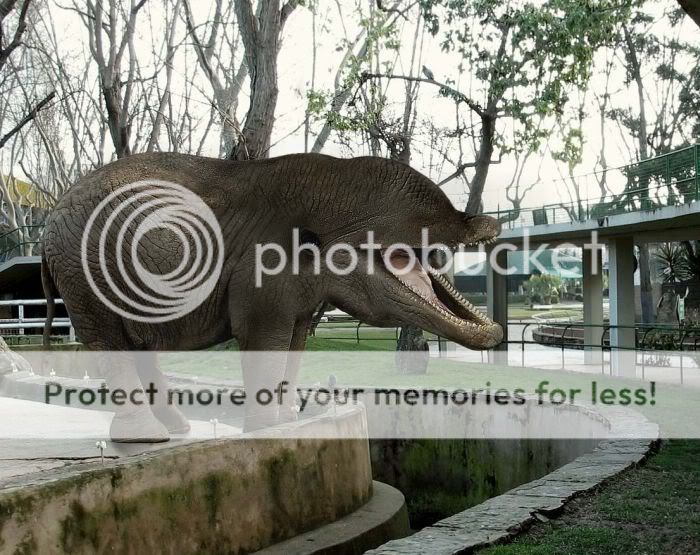 fotos de animales extraños fotos de animales extraños