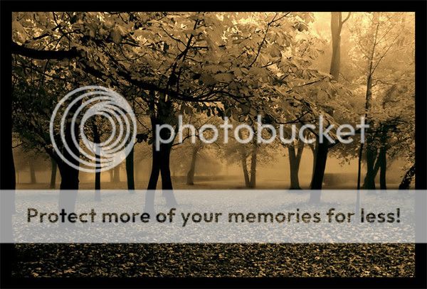 献上50幅哥特感很强的图图!点:204