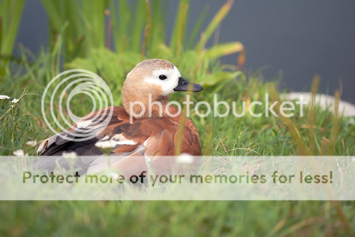 photo untitledshoot-9239.jpg