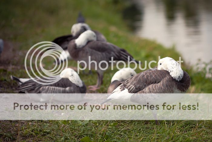 photo untitledshoot-9249.jpg