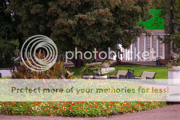 photo untitledshoot-9286.jpg