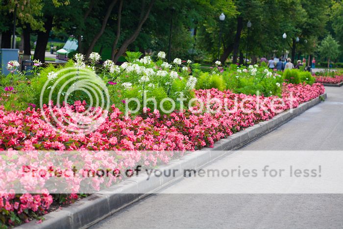 photo untitledshoot-9330.jpg