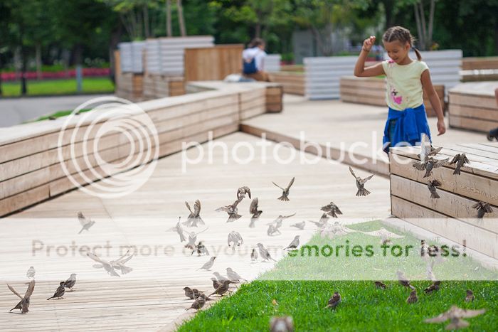 photo untitledshoot-9408.jpg
